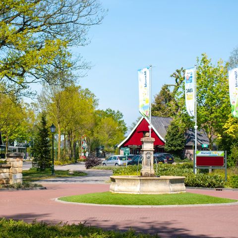 Marveld Recreatie - Camping Ost-Gelre - Image N°2