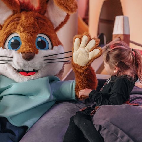 Roompot Kustpark Egmond aan Zee - Camping Bergen - Image N°3