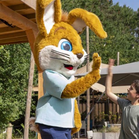 Roompot Kustpark Egmond aan Zee - Camping Bergen - Image N°4