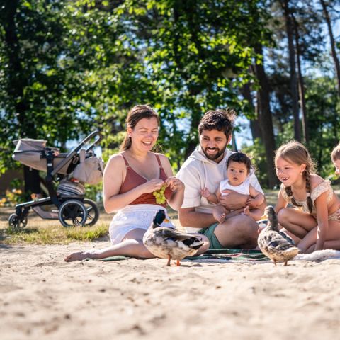 Landal Landgoed 't Loo - Camping Oldebroek - Image N°5