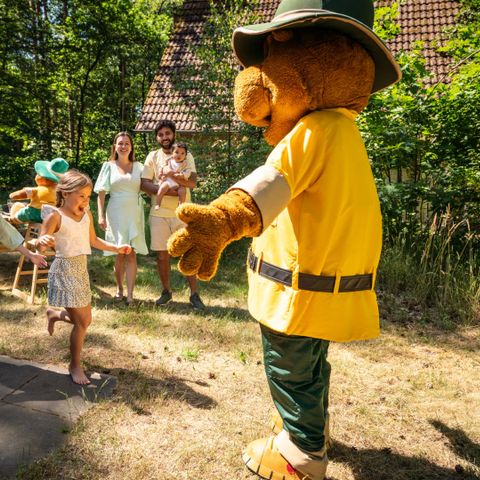 Landal Landgoed 't Loo - Camping Oldebroek - Image N°2