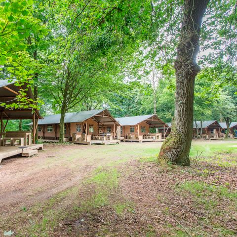 Tente en toile et en bois 6 personnes - 6ST