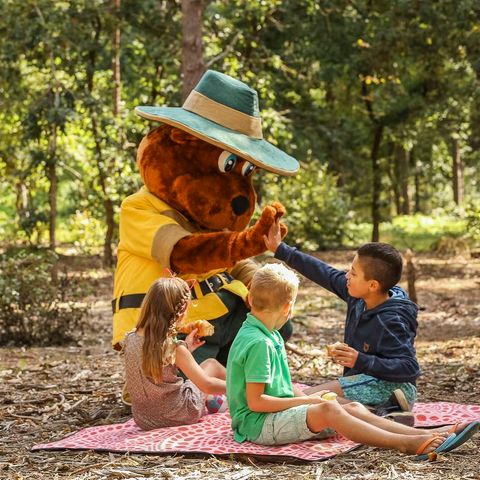 Landal Rabbit Hill - Camping Apeldoorn - Image N°4