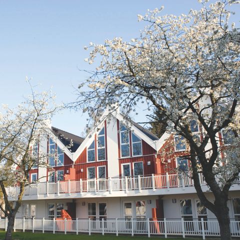 APPARTEMENT 6 personnes - 4+2 (bis 12.J) Alsen