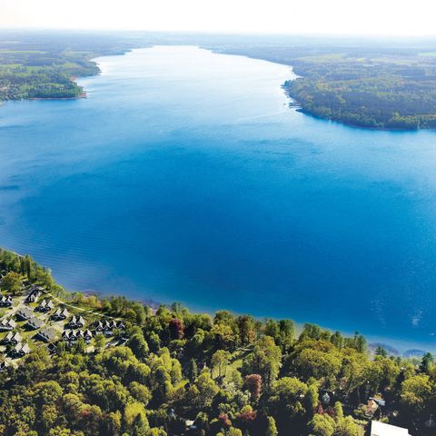 Schlosspark Bad Saarow - Camping Brandebourg - Image N°2