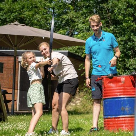 Landal Twenhaarsveld - Camping Rijssen-Holten - Image N°4