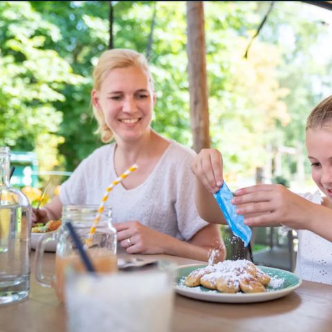 Landal Twenhaarsveld - Camping Rijssen-Holten - Image N°5
