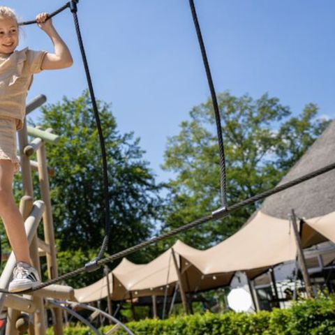 Landal Twenhaarsveld - Camping Rijssen-Holten - Image N°3