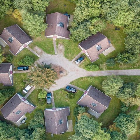 Landal Stroombroek - Camping Montferland - Image N°2