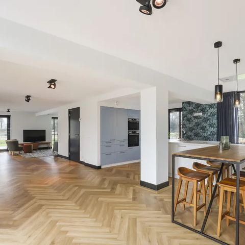 Hébergement pour groupe 12 personnes - Villa Vechtrijk