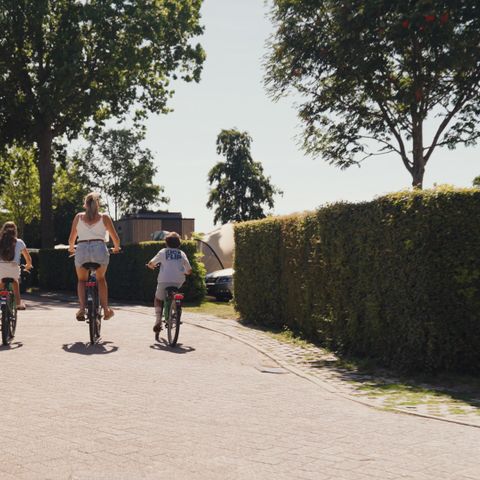 Villapark De Paardekreek - Camping Nord-Beveland - Image N°3