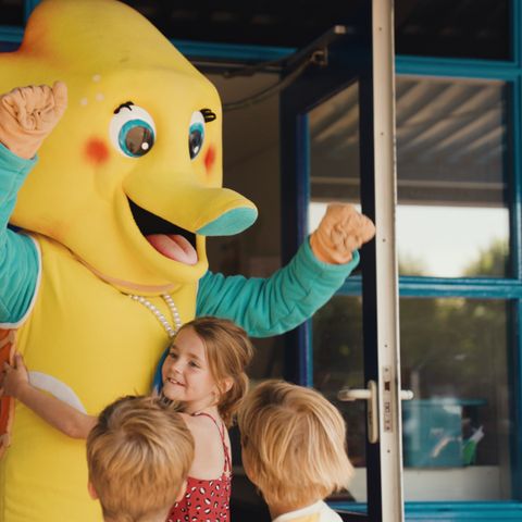 Villapark De Paardekreek - Camping Nord-Beveland - Image N°4