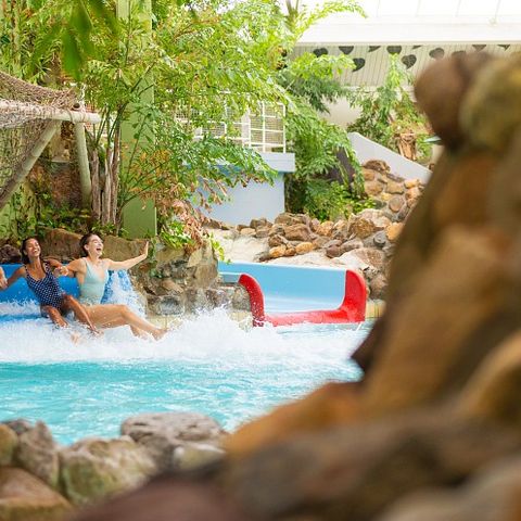 Sunparks Kempense Meren - Camping Anvers - Image N°3