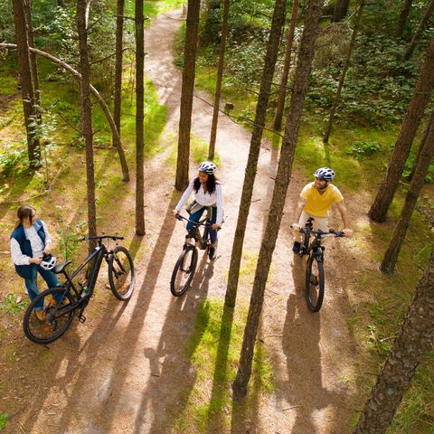 Sunparks Kempense Meren - Camping Anvers - Image N°5