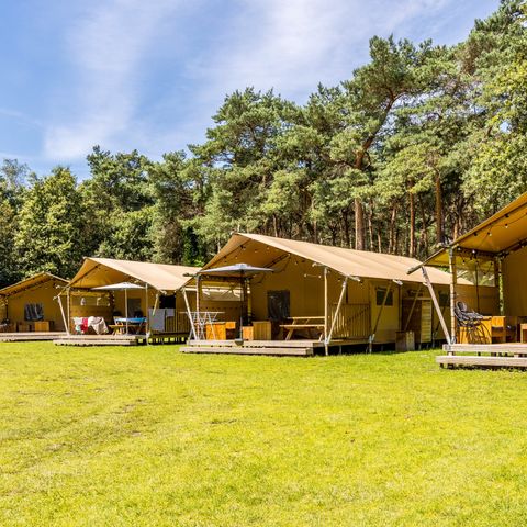 TENTE TOILE ET BOIS 6 personnes