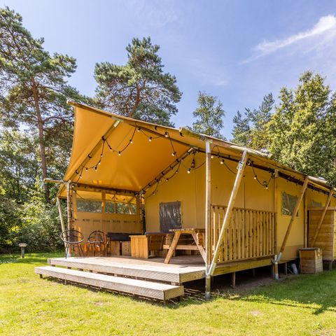 TENTE TOILE ET BOIS 6 personnes