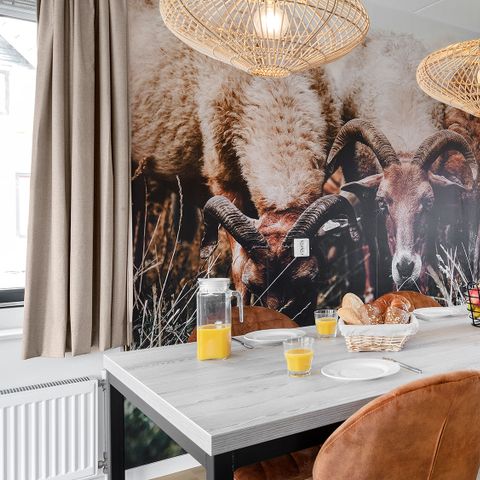 MAISON 4 personnes - Hunze