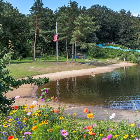 Molecaten Park Kuierpad - Camping Coevorden - Image N°4