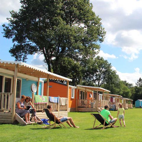 Molecaten Park Kuierpad - Camping Coevorden - Image N°5