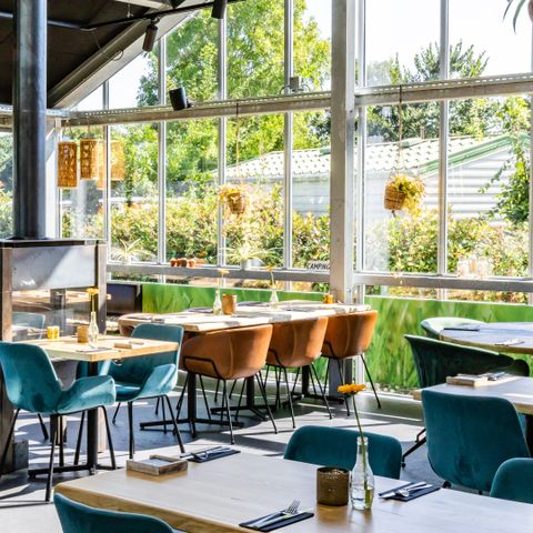 Vakantiepark Koningshof - Camping Katwijk am Meer - Image N°4