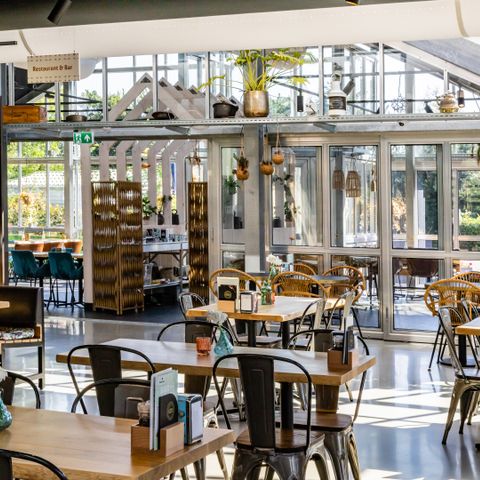 Vakantiepark Koningshof - Camping Katwijk am Meer - Image N°5