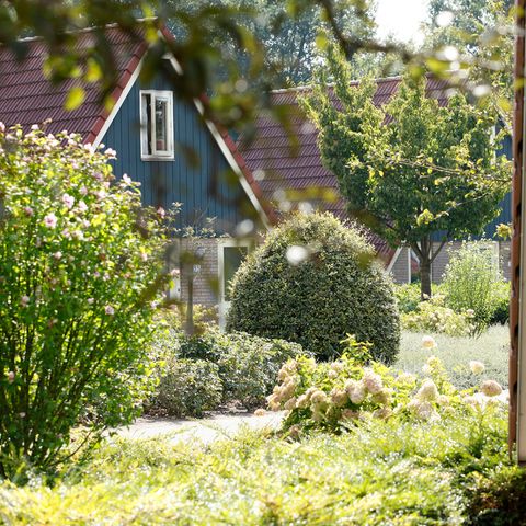 Vakantiepark Molendal - Camping Mook en Middelaar - Image N°4