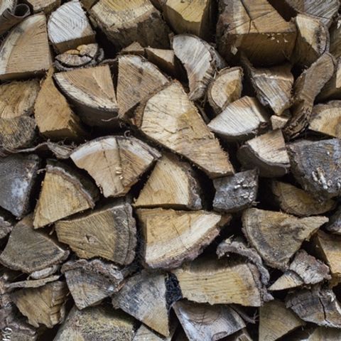 Bungalowpark Schuttersoord - Camping Mook en Middelaar - Image N°5