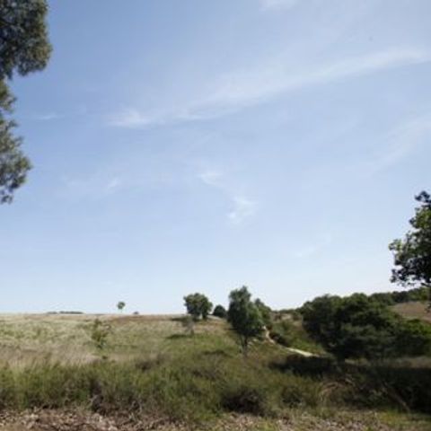 Bungalowpark Schuttersoord - Camping Mook en Middelaar - Image N°3