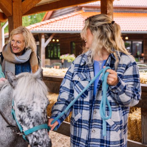 Landal Het Land van Bartje - Camping Borger-Odoorn - Image N°3