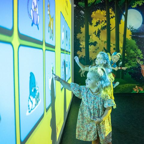 Landal Het Land van Bartje - Camping Borger-Odoorn - Image N°5