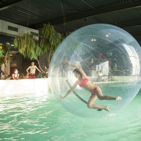 Landal Esonstad - Camping Noardeast-fryslân - Image N°5