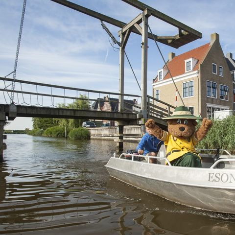 Landal Esonstad - Camping Noardeast-fryslân - Image N°3