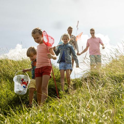 Landal Resort Haamstede - Camping Schouwen-Duiveland - Image N°3