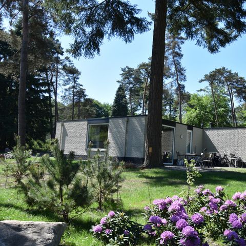 BUNGALOW 6 personnes - Ommer accepte les animaux domestiques