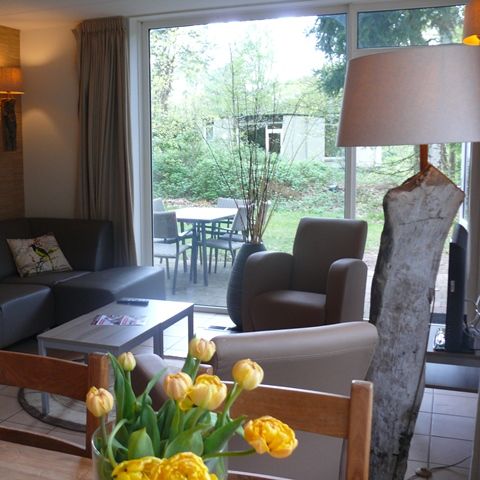 BUNGALOW 6 personnes - Ommer accepte les animaux domestiques