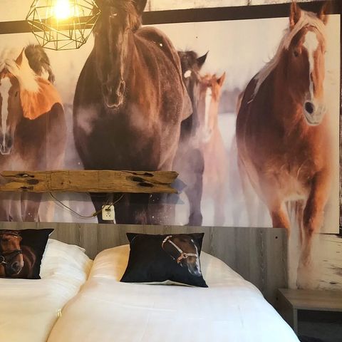 BUNGALOW 6 personnes - Poney