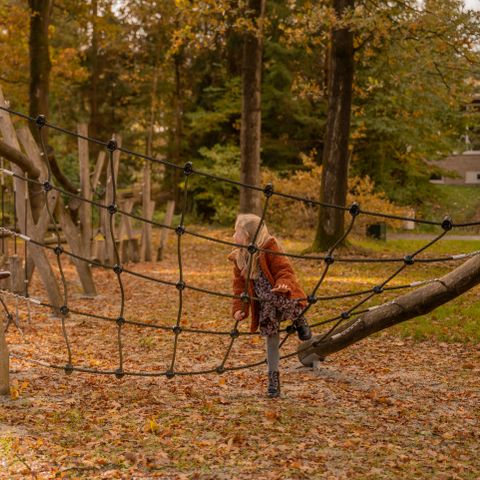 Vakantiepark Witterzomer - Camping Assen - Image N°5