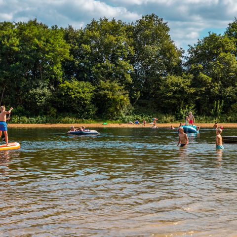 Vakantiepark Witterzomer - Camping Assen - Image N°4