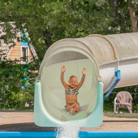 Vakantiepark Witterzomer - Camping Assen - Image N°3