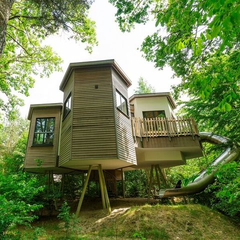 HÉBERGEMENT INSOLITE 4 personnes - Maison dans les Arbres 4 personnes