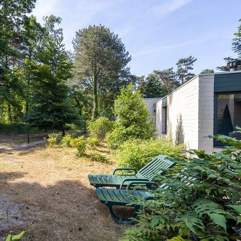 BUNGALOW 4 personnes - Premium Cottage chien 4 personnes