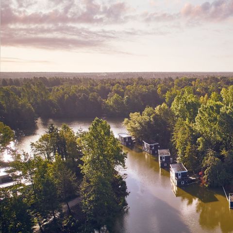 Center Parcs Bispinger Heide - Camping Basse-saxe - Image N°5