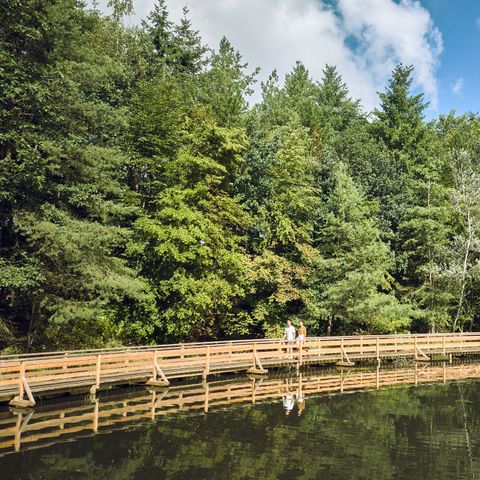 Center Parcs Bispinger Heide - Camping Basse-saxe - Image N°6