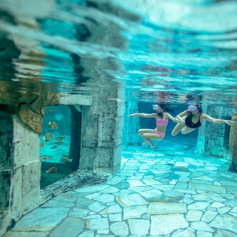 Center Parcs Het Heijderbos - Camping Gennep - Image N°4