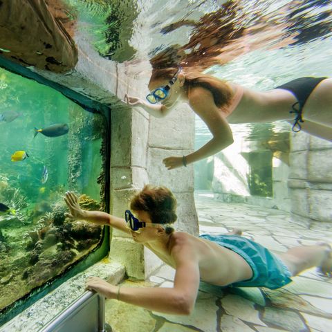 Center Parcs Het Heijderbos - Camping Gennep - Image N°5