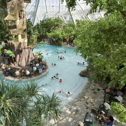 Center Parcs De Vossemeren - Camping Limburg Belge - Image N°6