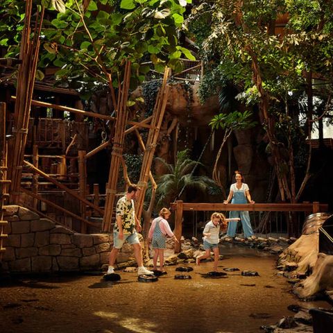 Center Parcs De Vossemeren - Camping Limburg Belge - Image N°3