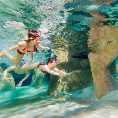 Center Parcs De Vossemeren - Camping Limburg Belge - Image N°5