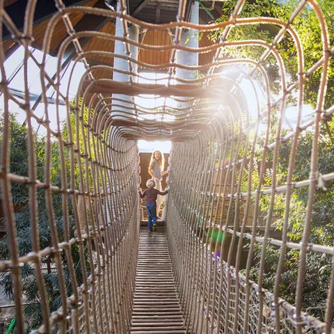 Center Parcs De Vossemeren - Camping Limburg Belge - Image N°4