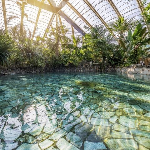 Center Parcs Park Erperheide - Camping Limburg Belge - Image N°4